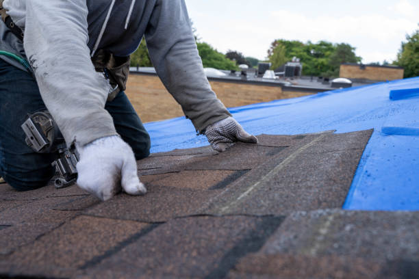 Best Roof Maintenance Services  in Mount Hermon, VA