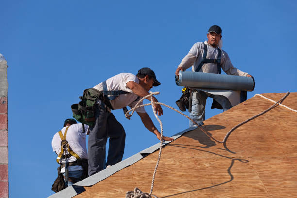 Best Gutter Installation and Roofing  in Mount Hermon, VA