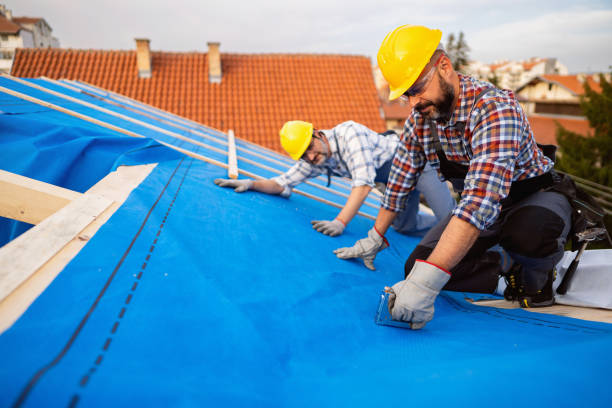 Best Roof Replacement Cost  in Mount Hermon, VA
