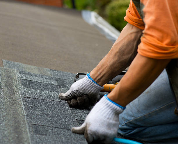 Quick and Trustworthy Emergency Roof Repair Services in Mount Hermon, VA