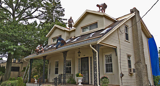 Best Shingle Roofing Installation  in Mount Hermon, VA